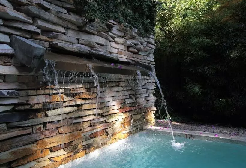 Fotos del hotel Mine:  12