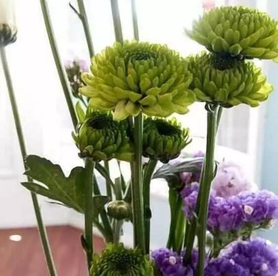 Fotos del hotel Palermo Soho Loft:  6