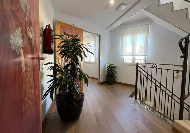 Fotos del hotel San Miguel:  3