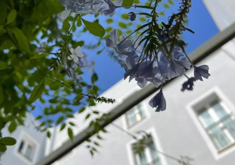 Fotos del hotel San Miguel:  6