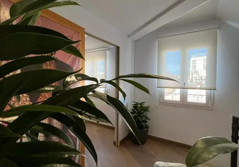 Fotos del hotel San Miguel:  7