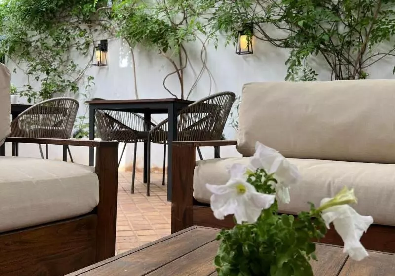 Fotos del hotel San Miguel:  9