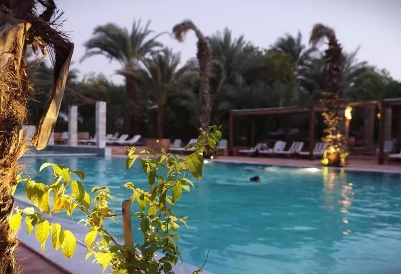 Fotos del hotel Al Moudira:  14