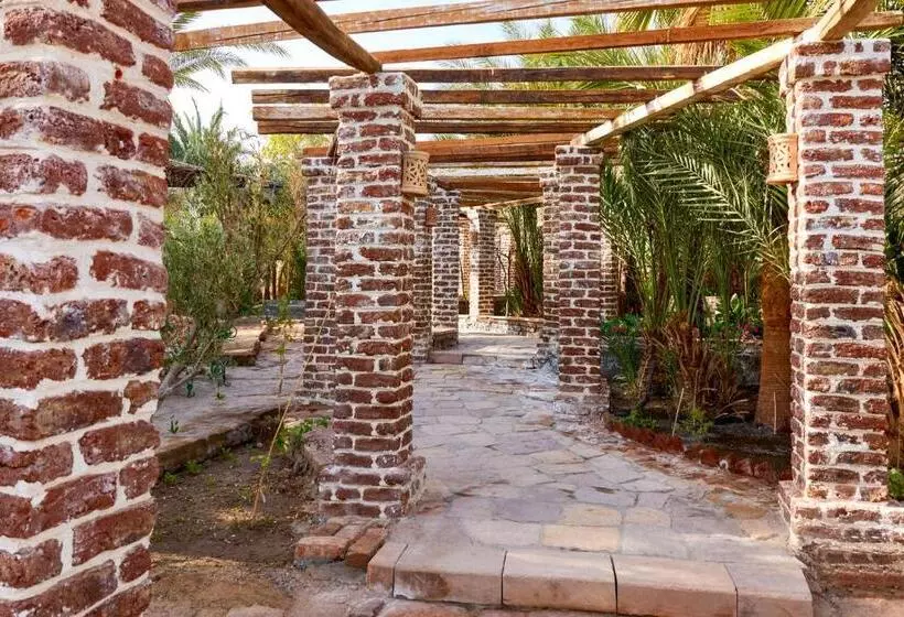 Fotos del hotel Al Moudira:  6