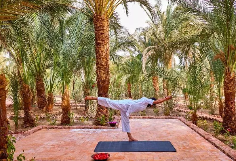 Fotos del hotel Al Moudira:  8