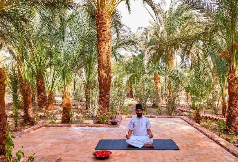 Fotos del hotel Al Moudira:  9