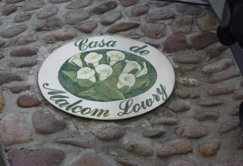 Fotos del hotel Bajo El Volcan:  18