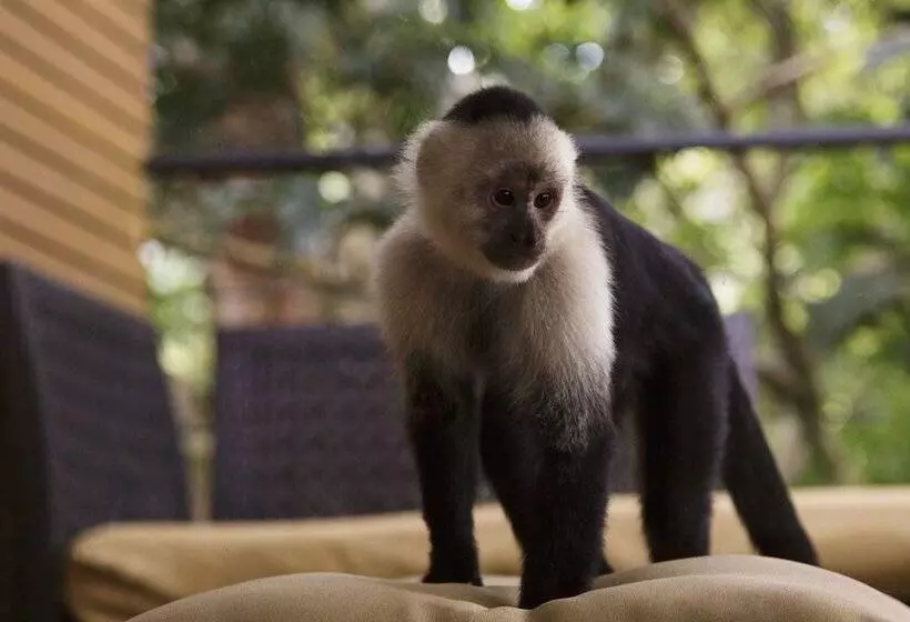 Fotos del hotel Belmar:  12