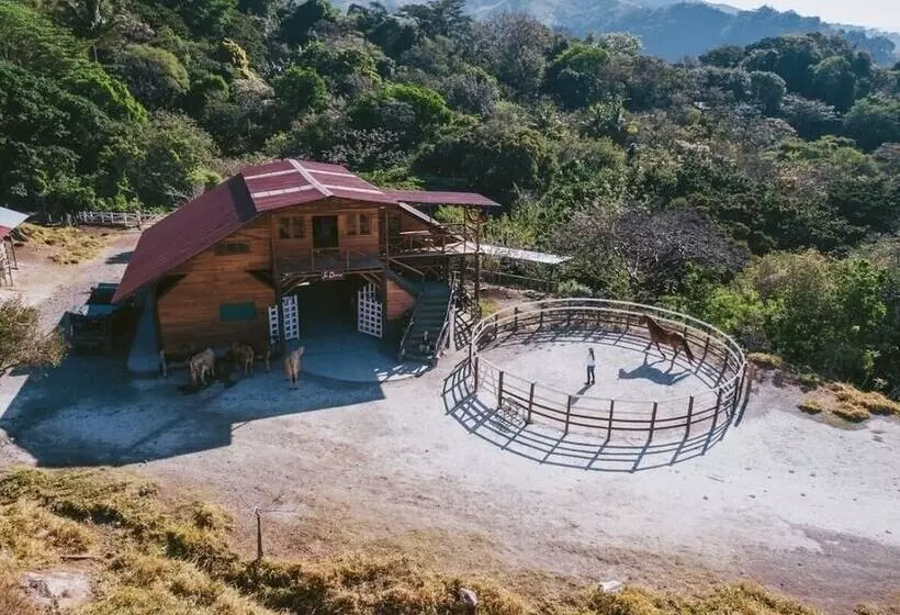 Fotos del hotel Belmar:  13