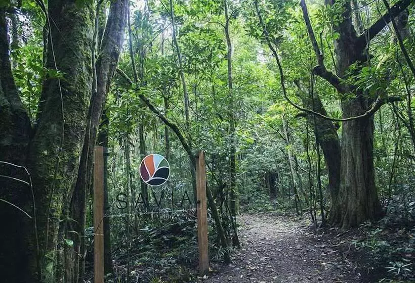 Fotos del hotel Belmar:  17