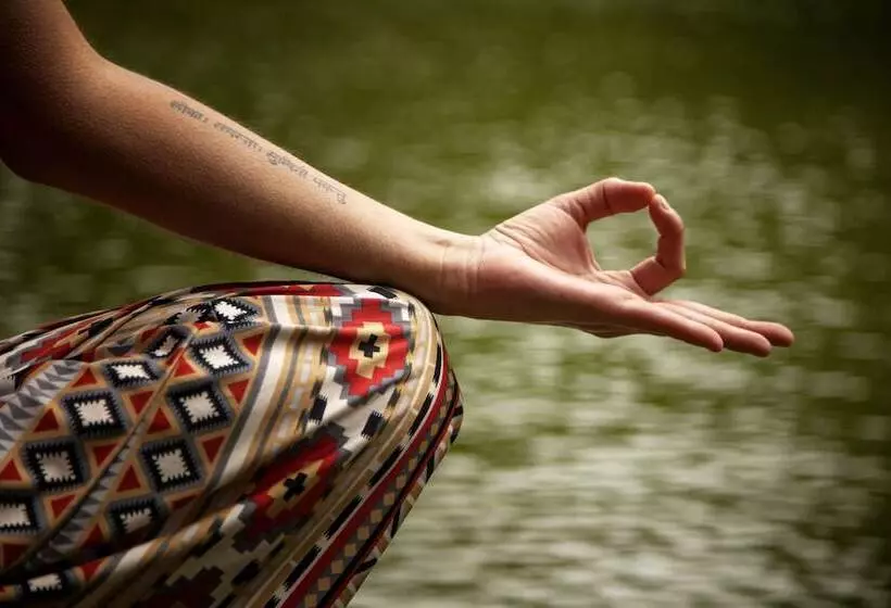 Fotos del hotel Belmar:  7