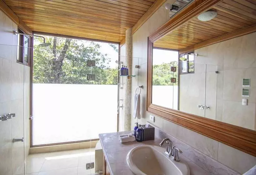 Fotos del hotel Belmar:  11