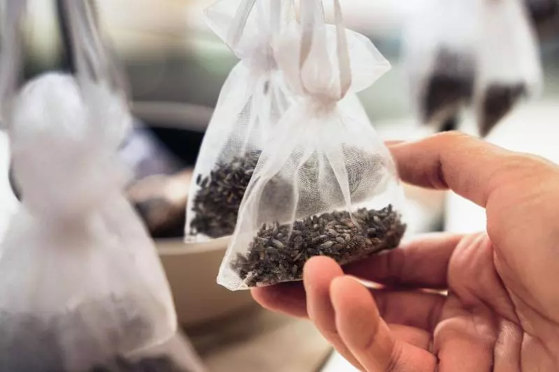 Fotos del hotel Ac Hotel By Marriott Penang:  7