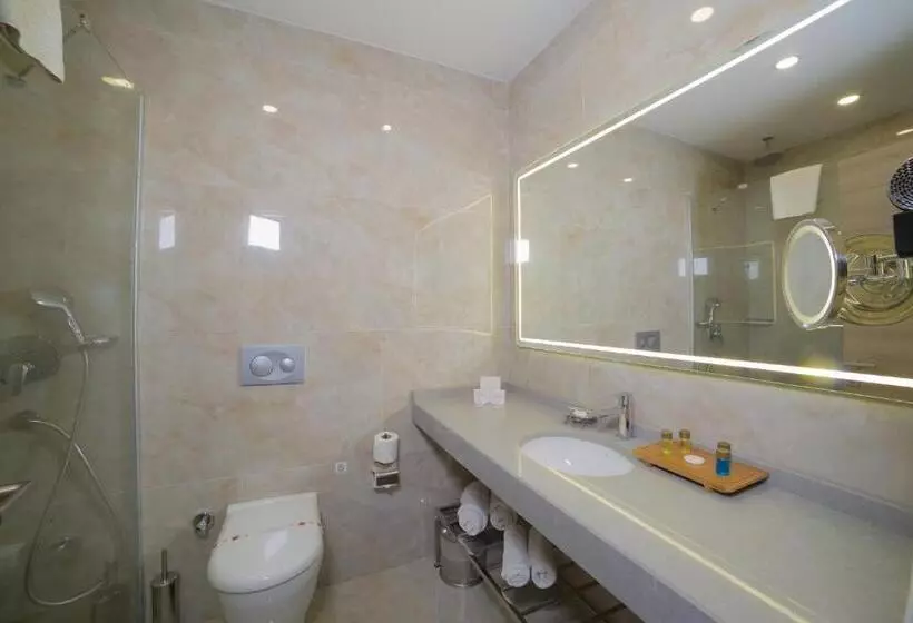 Fotos del hotel Aspen  Ist:  7