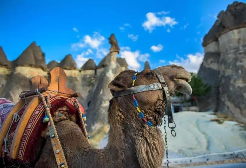 Fotos del hotel Aydinli Cave:  10