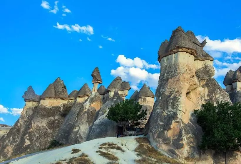 Fotos del hotel Aydinli Cave:  23