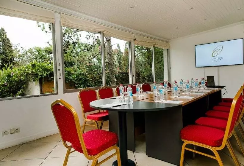 Fotos del hotel Carlton:  18