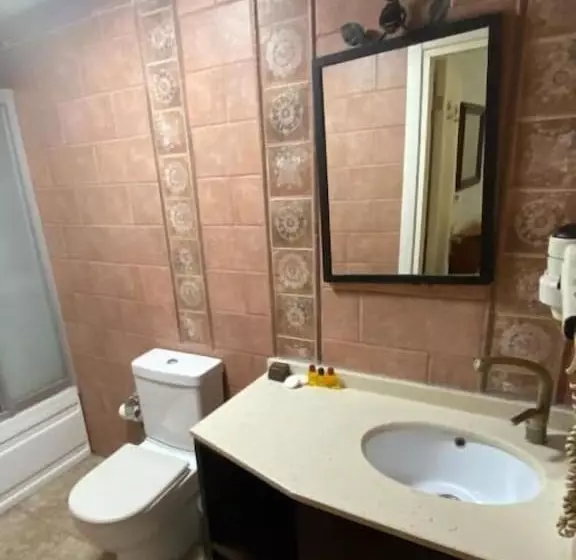 Fotos del hotel Hatay  Istanbul:  8