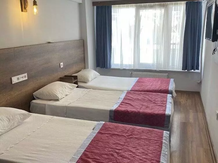 Fotos del hotel Hatay  Istanbul:  21