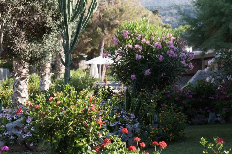 Fotos del hotel Ikaros Beach, Luxury Resort & Spa:  6