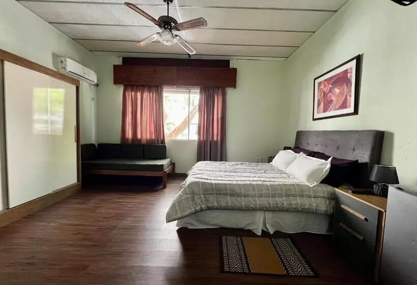 Fotos del hotel Mediterraneo:  11