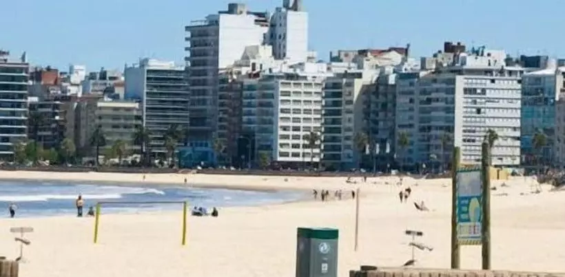 Fotos del hotel Mediterraneo:  13