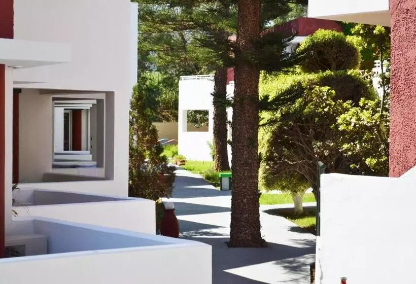 Fotos del hotel Palladion:  21