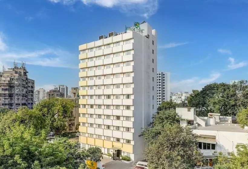 Lemon Tree , Ahmedabad