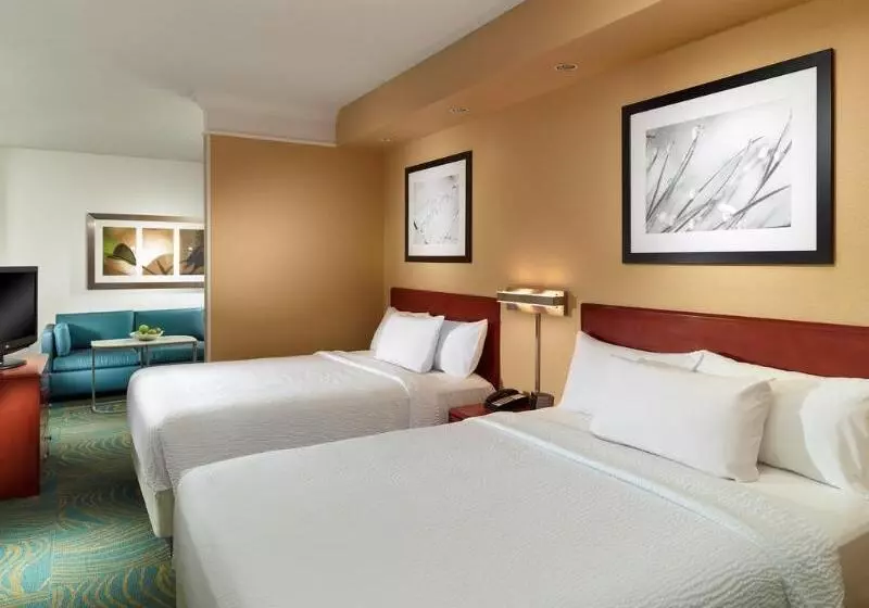Fotos del hotel Springhill Suites By Marriott Atlanta Buckhead:  9