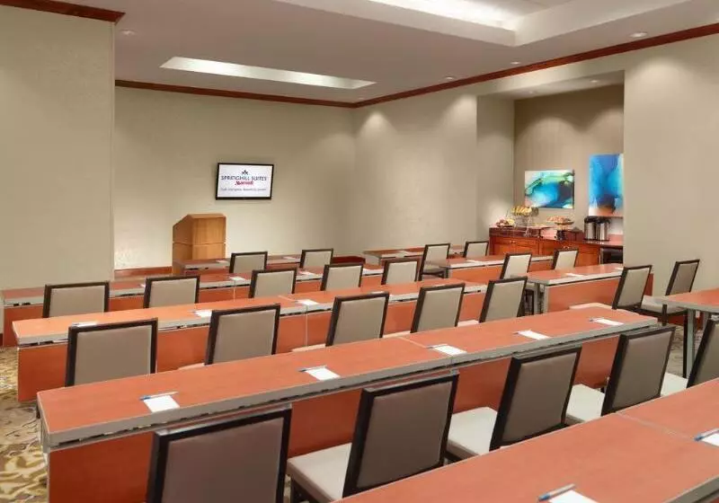 Fotos del hotel Springhill Suites By Marriott Atlanta Buckhead:  6