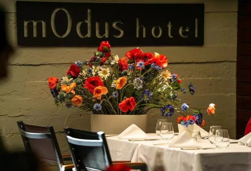 Fotos del hotel Modus:  4
