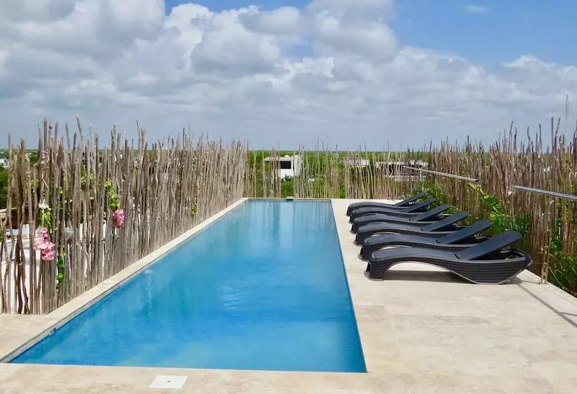 Fotos del hotel Carpe Diem Tulum By Nah S:  22