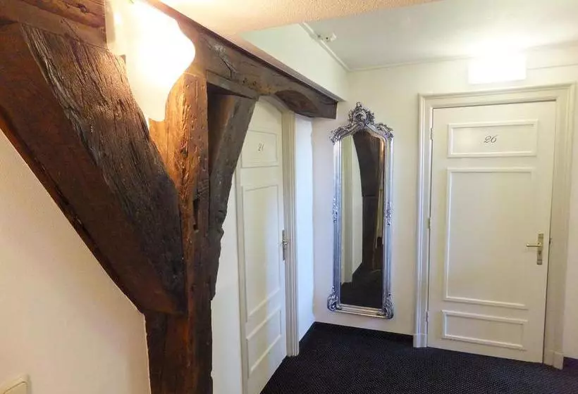 Fotos del hotel D'Orangerie:  7