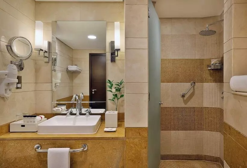 Fotos del hotel Grand Millennium Dubai:  121