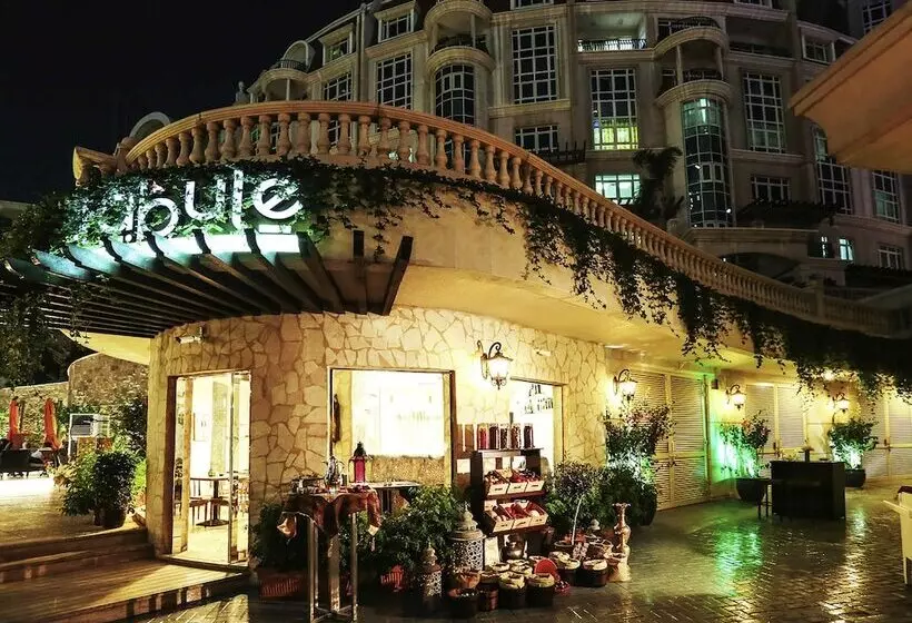 Fotos del hotel Swissôtel Al Murooj Dubai:  2