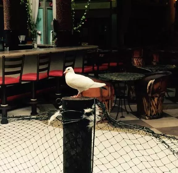 Fotos del hotel Club Del Sol Acapulco By Ng Es:  72