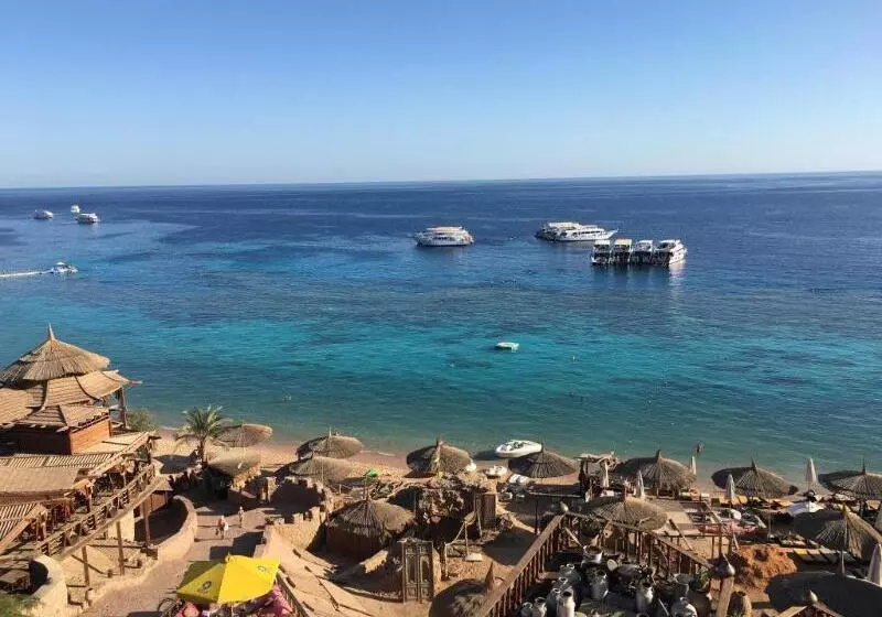 Fotos del hotel Albatros Aqua Park Resort:  5