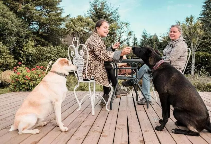 Fotos del hotel Selina Plaza Pucón:  20