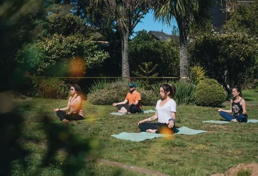 Fotos del hotel Selina Plaza Pucón:  23