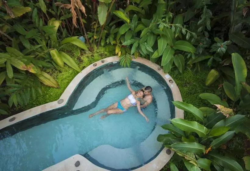 Fotos del hotel Casa Luna Hotel & Spa:  2