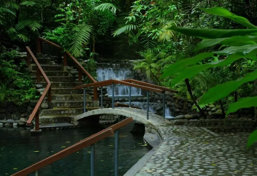 Fotos del hotel Casa Luna Hotel & Spa:  24