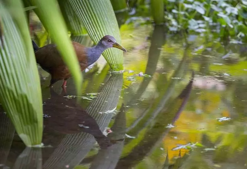 Fotos del hotel Casa Luna Hotel & Spa:  12