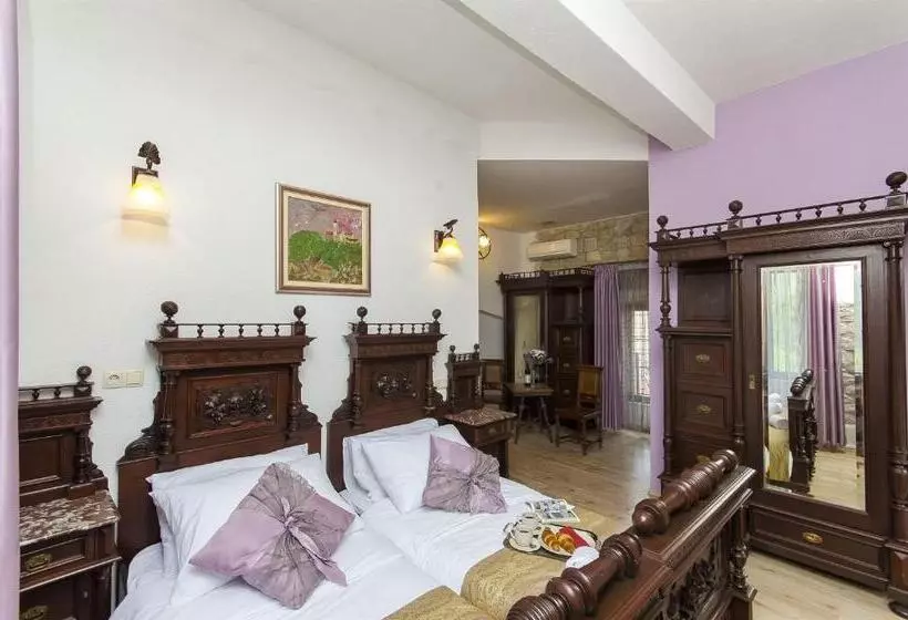 Fotos del hotel Palace Derossi:  21