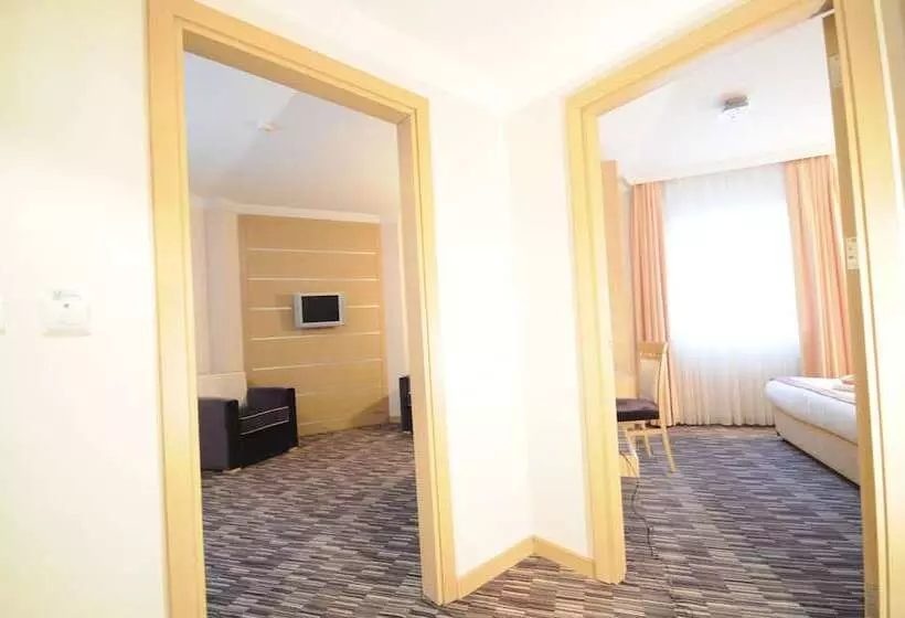 Fotos del hotel Sv Bussiness  Taksim:  21