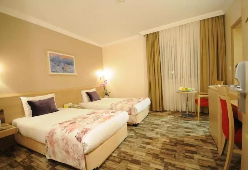Fotos del hotel Sv Bussiness  Taksim:  8