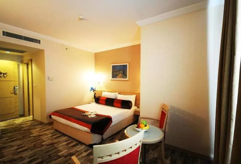 Fotos del hotel Sv Bussiness  Taksim:  7