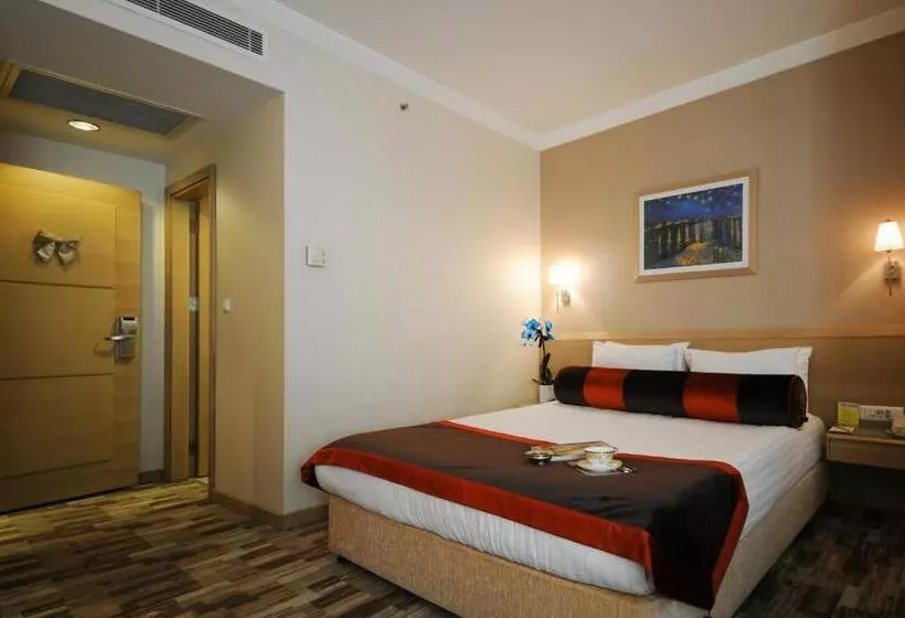 Fotos del hotel Sv Bussiness  Taksim:  14