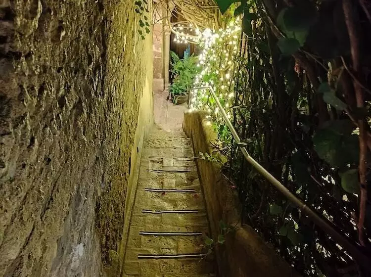 Fotos del hotel Hacienda Las Amantes:  21