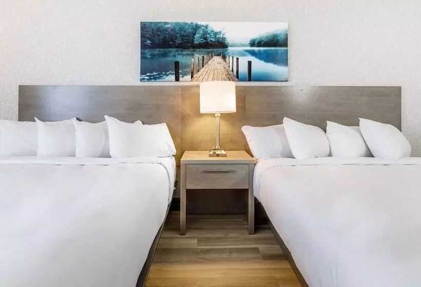 Fotos del hotel Chateau Repotel Henri Iv:  5