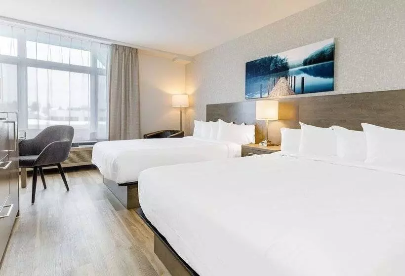 Fotos del hotel Chateau Repotel Henri Iv:  11